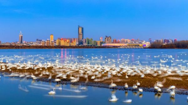 天鵝湖旅游度假區(去看看值不值)