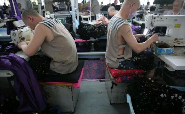 監獄的真實生活(  監獄會讓人改變嗎)